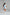 IT Girl Crop - Baby Blue